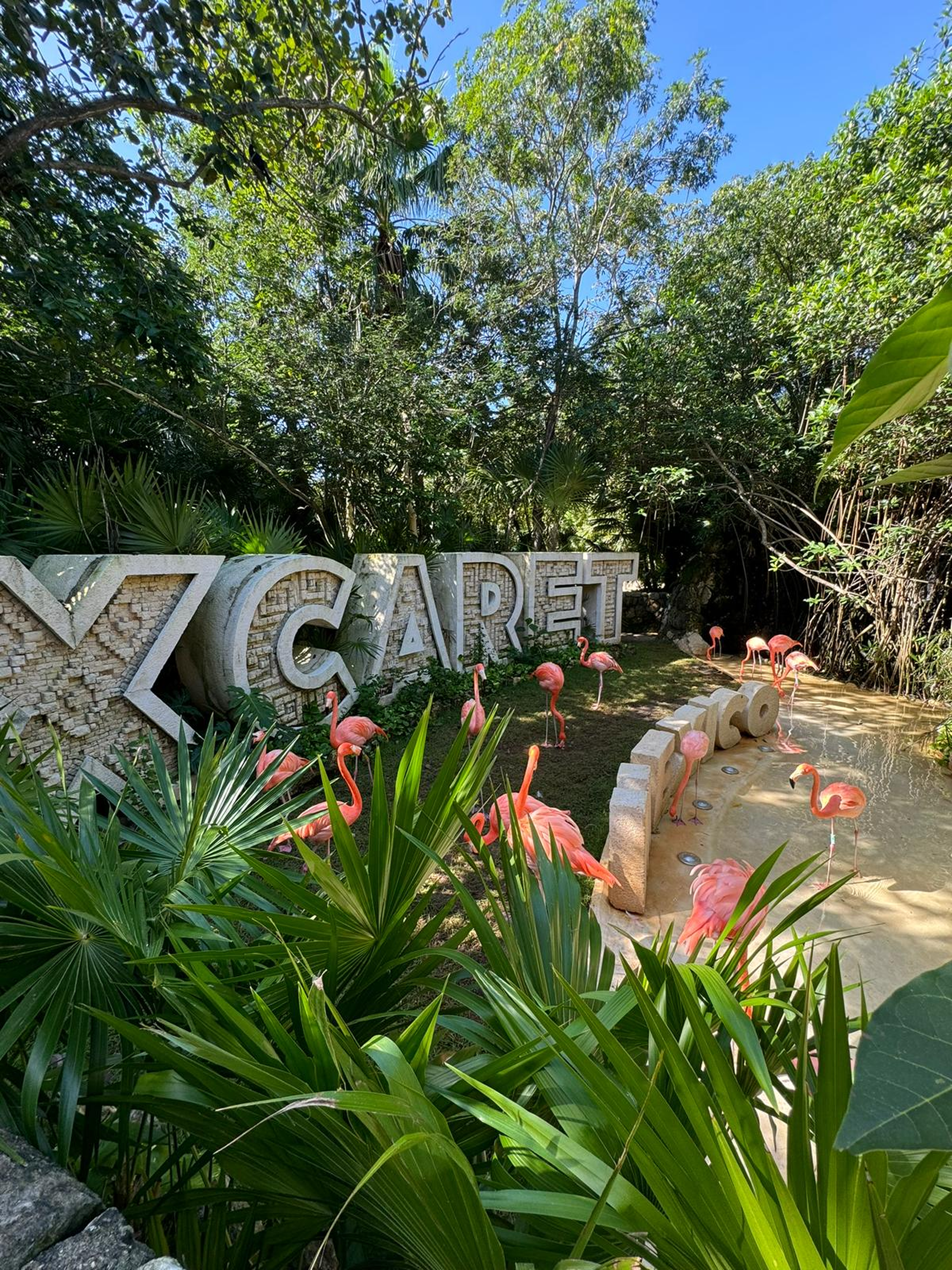 Naturaleza tropical en Xcaret México